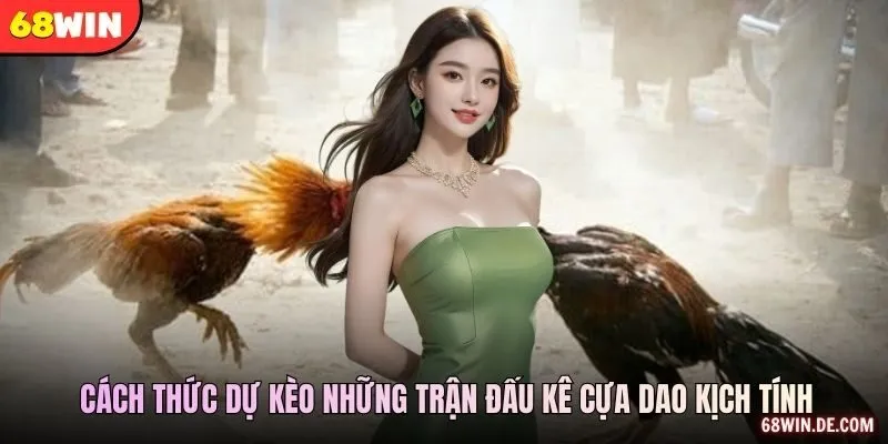 Mã Trận, Odds Và Trạng Thái Ghi Nhận